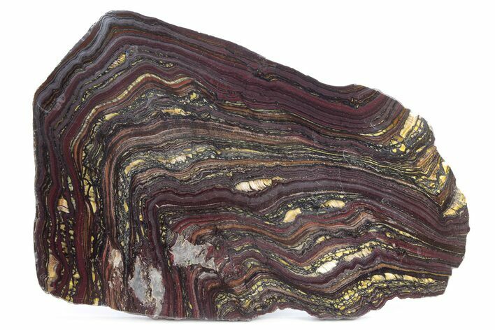 Polished Tiger Iron Stromatolite Slab - Billion Years #247783